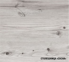 АСАЯ Кухонный гарнитур Экстра 2 (3000 мм) ПМ в Пуровске - purovsk.ok-mebel.com | фото 8