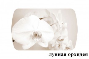 БОСТОН - 3 Стол раздвижной 1100/1420 опоры Брифинг в Пуровске - purovsk.ok-mebel.com | фото 26