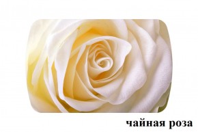 БОСТОН - 3 Стол раздвижной 1100/1420 опоры Брифинг в Пуровске - purovsk.ok-mebel.com | фото 46