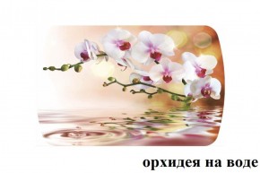 БОСТОН - 3 Стол раздвижной 1100/1420 опоры Брифинг в Пуровске - purovsk.ok-mebel.com | фото 65