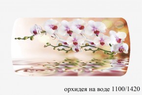 БОСТОН - 3 Стол раздвижной 1100/1420 опоры Брифинг в Пуровске - purovsk.ok-mebel.com | фото 66
