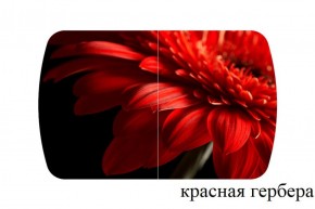 БОСТОН - 3 Стол раздвижной 1100/1420 опоры Триумф в Пуровске - purovsk.ok-mebel.com | фото 18