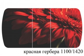 БОСТОН - 3 Стол раздвижной 1100/1420 опоры Триумф в Пуровске - purovsk.ok-mebel.com | фото 19
