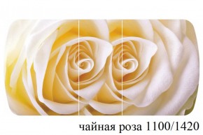 БОСТОН - 3 Стол раздвижной 1100/1420 опоры Триумф в Пуровске - purovsk.ok-mebel.com | фото 48