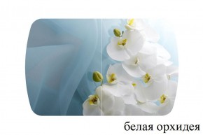 БОСТОН - 3 Стол раздвижной 1100/1420 опоры Триумф в Пуровске - purovsk.ok-mebel.com | фото 8