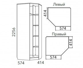 Детская Фанк Шкаф угловой Левый/Правый НМ 013.04-02 М в Пуровске - purovsk.ok-mebel.com | фото 3