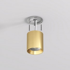 DK2610-SB Накладной светильник SHINE TUBE со светодиодом, D70*H80, IP20, 3000К, 10W, RA?90, сатинированная латунь, алюминий в Пуровске - purovsk.ok-mebel.com | фото 3