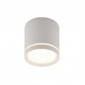 DK4016-WH Светильник накладной IP 20, 5 Вт, LED 3000, белый, алюминий/акрил в Пуровске - purovsk.ok-mebel.com | фото