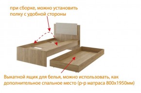 Дуглас (подростковая) М14 Кровать в Пуровске - purovsk.ok-mebel.com | фото 5