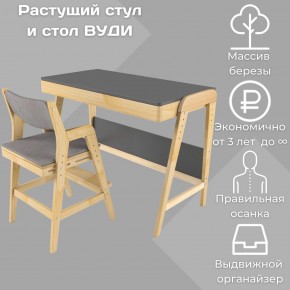 Комплект растущий стол и стул с чехлом 38 попугаев «Вуди» (Серый, Без покрытия, Серый) в Пуровске - purovsk.ok-mebel.com | фото