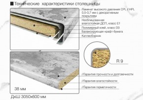 Кухонный фартук со столешницей (А-04) в едином стиле (3050 мм) в Пуровске - purovsk.ok-mebel.com | фото 6