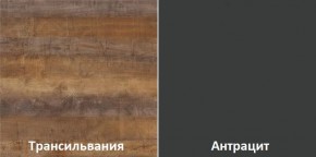 Кухонный гарнитур угловой Трансильвания 2600х1600 мм (Стол. 38 мм) в Пуровске - purovsk.ok-mebel.com | фото 3