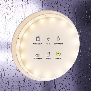 Лента светодиодная Maytoni Led strip 10105 в Пуровске - purovsk.ok-mebel.com | фото 2