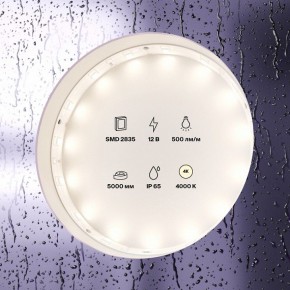 Лента светодиодная Maytoni Led strip 10106 в Пуровске - purovsk.ok-mebel.com | фото 2