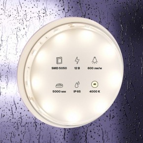 Лента светодиодная Maytoni Led strip 10124 в Пуровске - purovsk.ok-mebel.com | фото 2