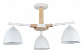 Люстра на штанге Lumion Colange 8095/3C в Пуровске - purovsk.ok-mebel.com | фото