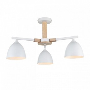 Люстра на штанге Lumion Colange 8095/3C в Пуровске - purovsk.ok-mebel.com | фото 2