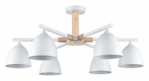 Люстра на штанге Lumion Colange 8095/6C в Пуровске - purovsk.ok-mebel.com | фото