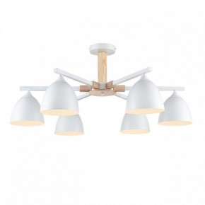 Люстра на штанге Lumion Colange 8095/6C в Пуровске - purovsk.ok-mebel.com | фото 2