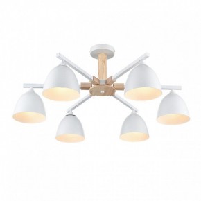 Люстра на штанге Lumion Colange 8095/6C в Пуровске - purovsk.ok-mebel.com | фото 3