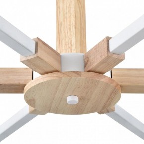 Люстра на штанге Lumion Colange 8095/6C в Пуровске - purovsk.ok-mebel.com | фото 7