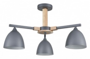 Люстра на штанге Lumion Colange 8096/3C в Пуровске - purovsk.ok-mebel.com | фото