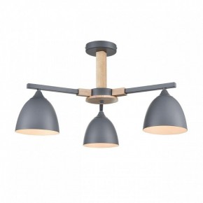 Люстра на штанге Lumion Colange 8096/3C в Пуровске - purovsk.ok-mebel.com | фото 2