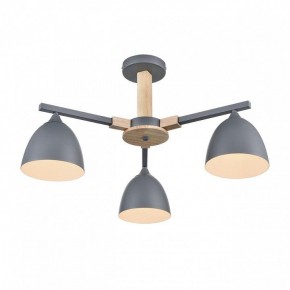 Люстра на штанге Lumion Colange 8096/3C в Пуровске - purovsk.ok-mebel.com | фото 3