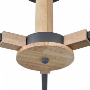 Люстра на штанге Lumion Colange 8096/3C в Пуровске - purovsk.ok-mebel.com | фото 7