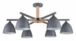 Люстра на штанге Lumion Colange 8096/6C в Пуровске - purovsk.ok-mebel.com | фото