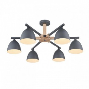Люстра на штанге Lumion Colange 8096/6C в Пуровске - purovsk.ok-mebel.com | фото 3