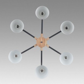 Люстра на штанге Lumion Colange 8096/6C в Пуровске - purovsk.ok-mebel.com | фото 4
