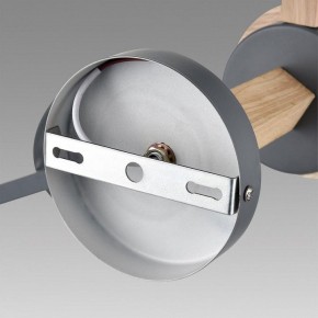 Люстра на штанге Lumion Colange 8096/6C в Пуровске - purovsk.ok-mebel.com | фото 6