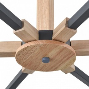 Люстра на штанге Lumion Colange 8096/6C в Пуровске - purovsk.ok-mebel.com | фото 7