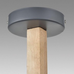Люстра на штанге Lumion Colange 8096/6C в Пуровске - purovsk.ok-mebel.com | фото 9