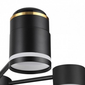 Люстра на штанге Lumion Virsava 8234/6C в Пуровске - purovsk.ok-mebel.com | фото 8