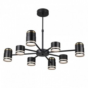 Люстра на штанге Lumion Virsava 8234/8C в Пуровске - purovsk.ok-mebel.com | фото 4