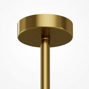 Люстра на штанге Maytoni Museo MOD436PL-07BS в Пуровске - purovsk.ok-mebel.com | фото 5