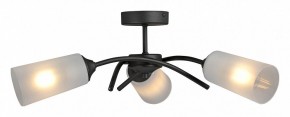 Люстра на штанге Vitaluce V2850 V2850-1/3PL в Пуровске - purovsk.ok-mebel.com | фото 3