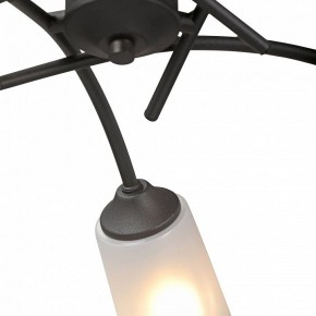 Люстра на штанге Vitaluce V2850 V2850-1/5PL в Пуровске - purovsk.ok-mebel.com | фото 6
