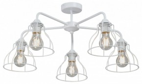 Люстра на штанге Vitaluce V3102 V3102-0/5PL в Пуровске - purovsk.ok-mebel.com | фото