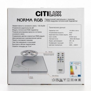 Накладной светильник Citilux Norma CL749K301 в Пуровске - purovsk.ok-mebel.com | фото 10