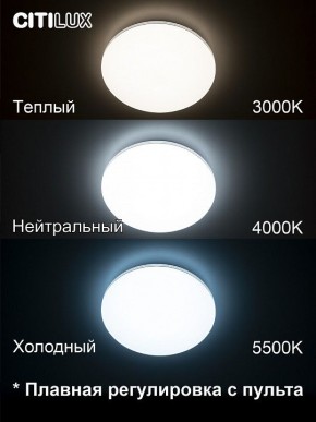 Накладной светильник Citilux Симпла CL714330G в Пуровске - purovsk.ok-mebel.com | фото 4