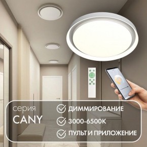 Накладной светильник Denkirs Cany DK6516-WH в Пуровске - purovsk.ok-mebel.com | фото 4