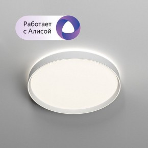 Накладной светильник Denkirs PLATO DK6511-WH/1 в Пуровске - purovsk.ok-mebel.com | фото 3