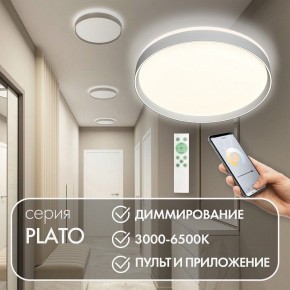 Накладной светильник Denkirs PLATO DK6511-WH/1 в Пуровске - purovsk.ok-mebel.com | фото 4
