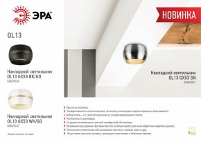 Накладной светильник Эра OL13 GX53 SN Б0049031 в Пуровске - purovsk.ok-mebel.com | фото 5