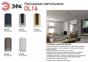 Накладной светильник Эра OL16 GU10 GD Б0049047 в Пуровске - purovsk.ok-mebel.com | фото 5