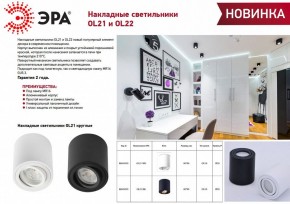 Накладной светильник Эра OL21 WH Б0054392 в Пуровске - purovsk.ok-mebel.com | фото 2