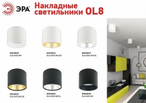 Накладной светильник Эра OL8 GX53 BK/GD Б0048539 в Пуровске - purovsk.ok-mebel.com | фото 3